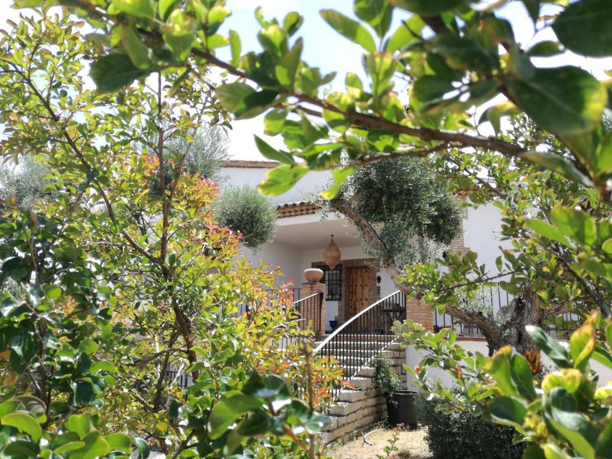 Casa Rural La Amistad Burguillos de Toledo Exterior foto