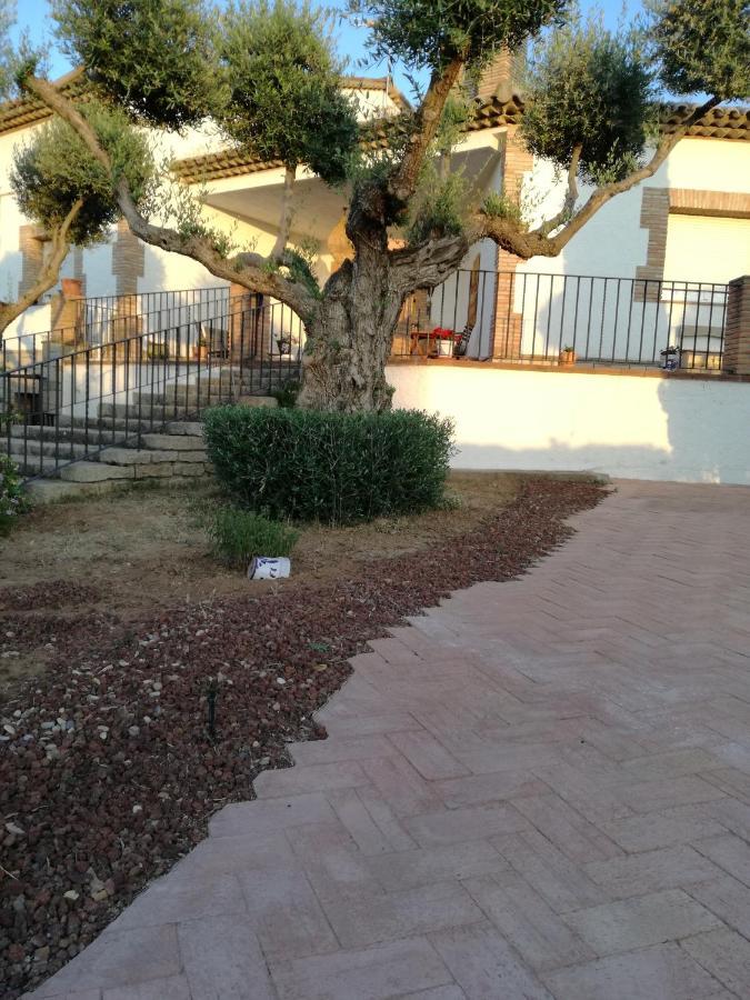 Casa Rural La Amistad Burguillos de Toledo Exterior foto